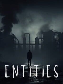 Entities cover