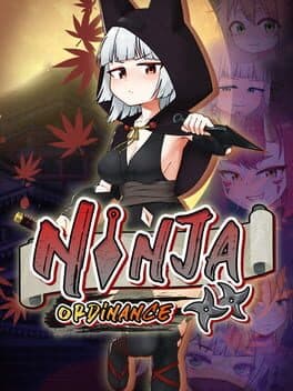 Ninja Ordinance cover